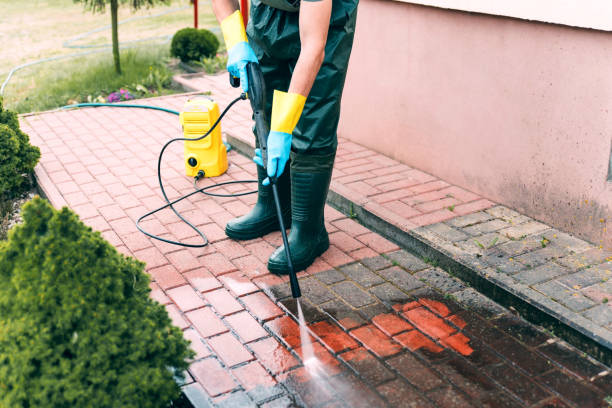 Best Affordable Power Washing  in Lesslie, SC