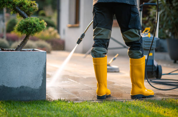 Best Deck Cleaning Services  in Lesslie, SC